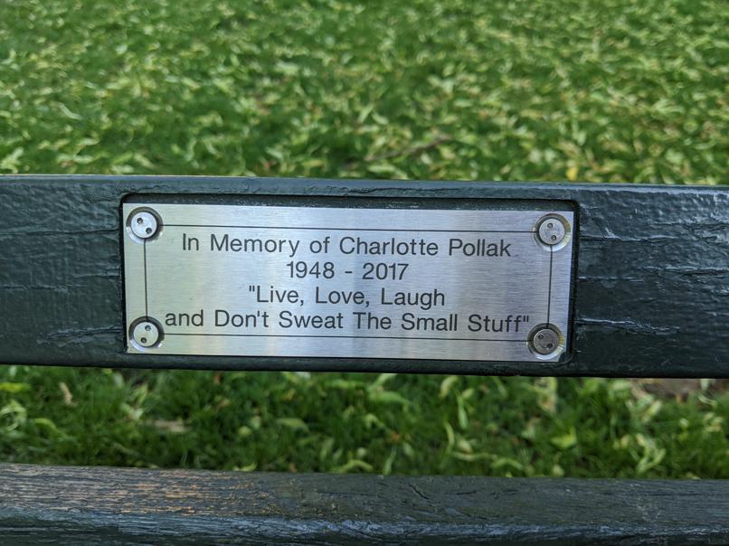 I saw this bench in Central Park