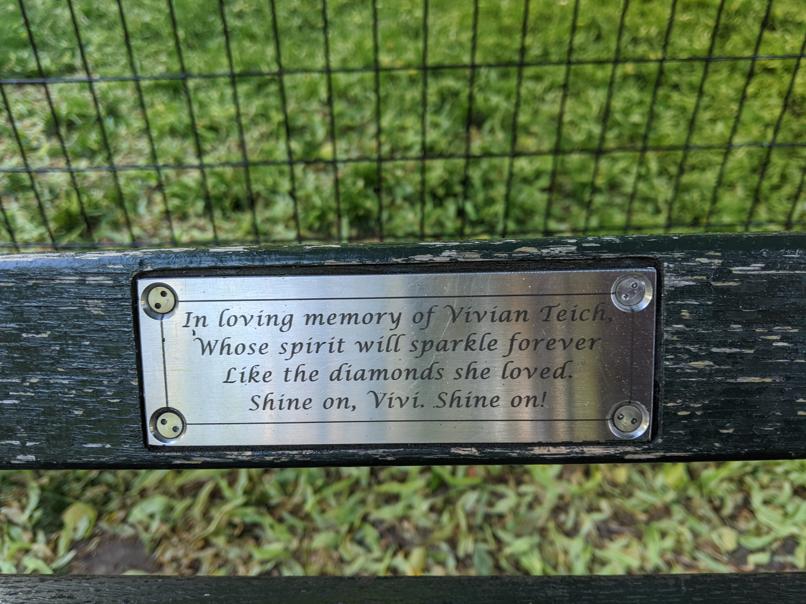 I saw this bench in Central Park