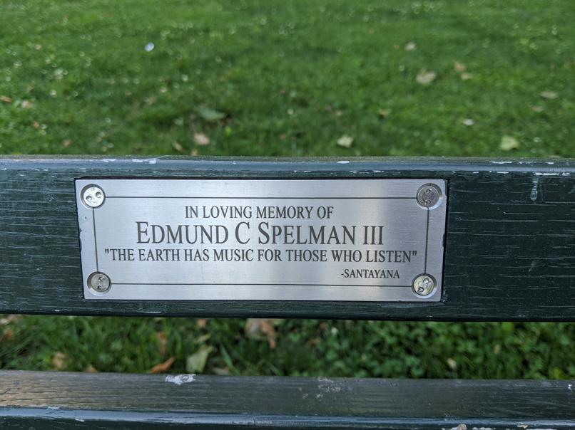 I saw this bench in Central Park