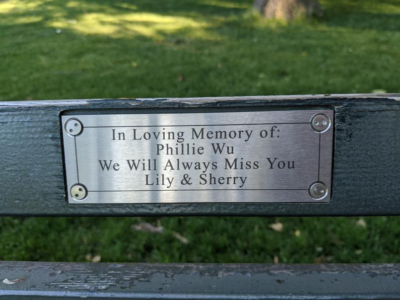 I saw this bench in Central Park