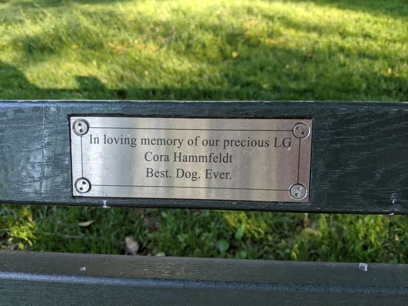 I saw this bench in Central Park