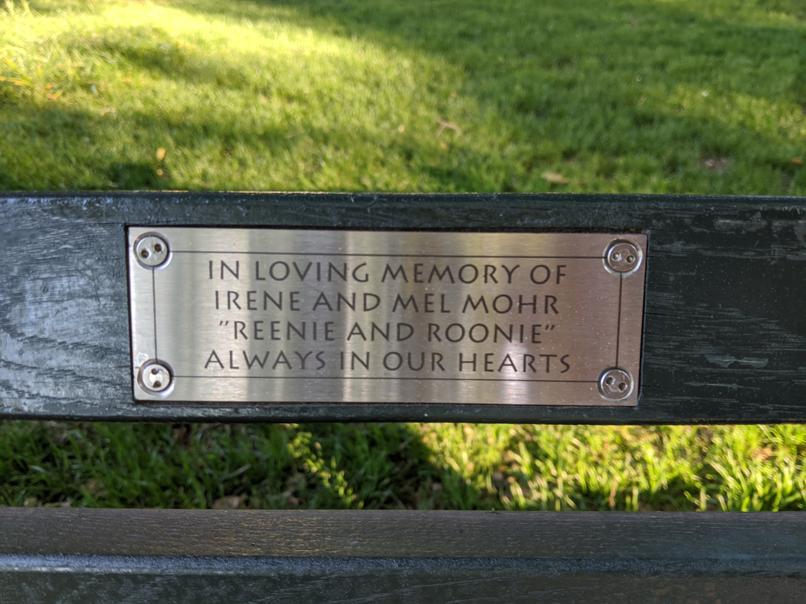 I saw this bench in Central Park