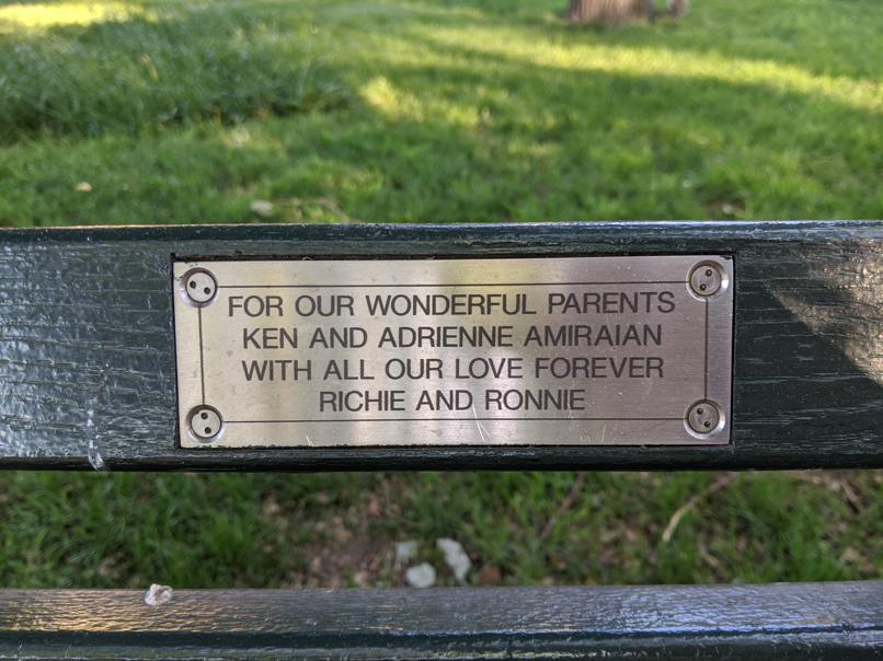 I saw this bench in Central Park