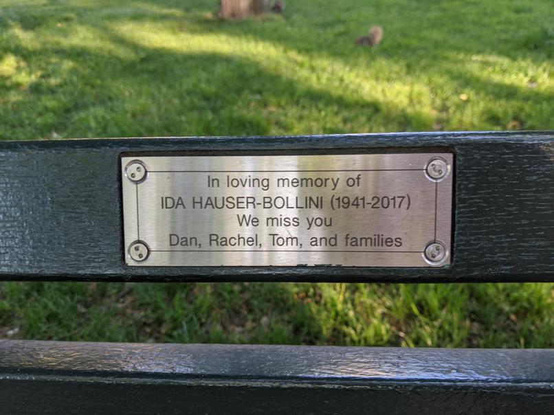 I saw this bench in Central Park