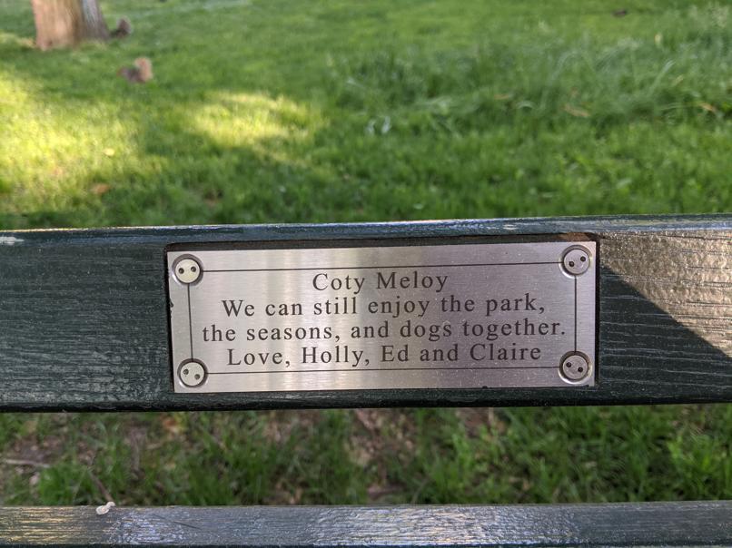 I saw this bench in Central Park