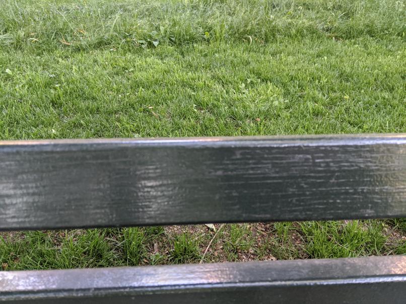 I saw this bench in Central Park