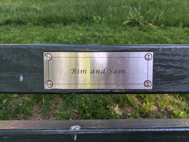 I saw this bench in Central Park