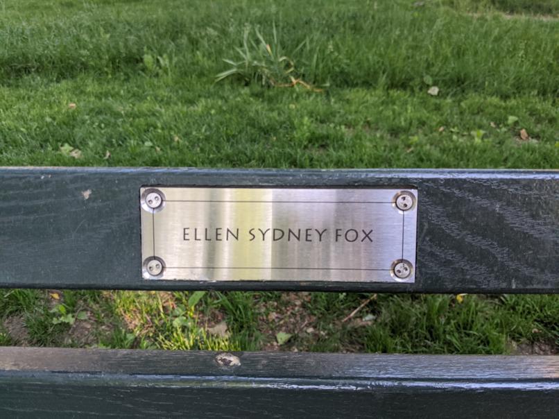 I saw this bench in Central Park