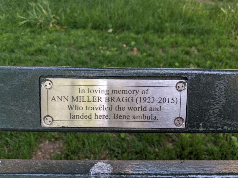 I saw this bench in Central Park