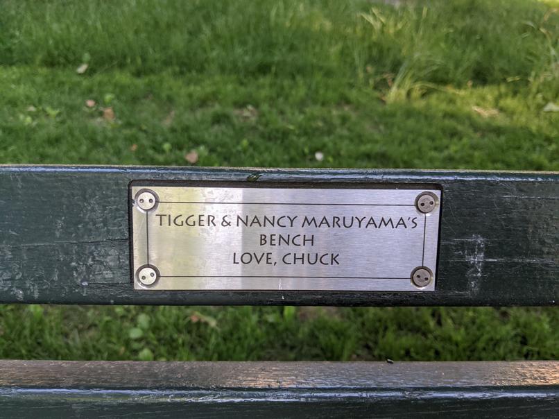 I saw this bench in Central Park