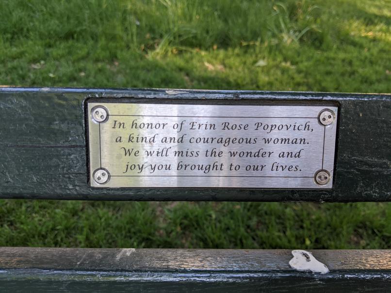 I saw this bench in Central Park