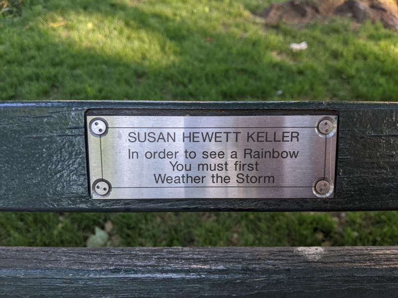 I saw this bench in Central Park