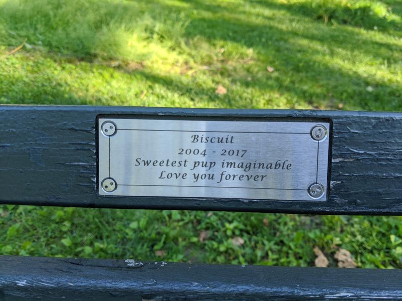 I saw this bench in Central Park