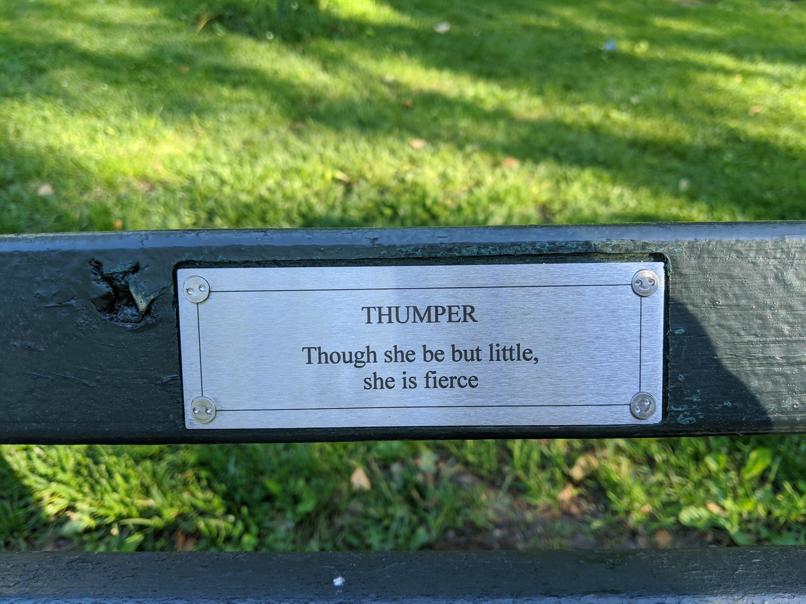 I saw this bench in Central Park