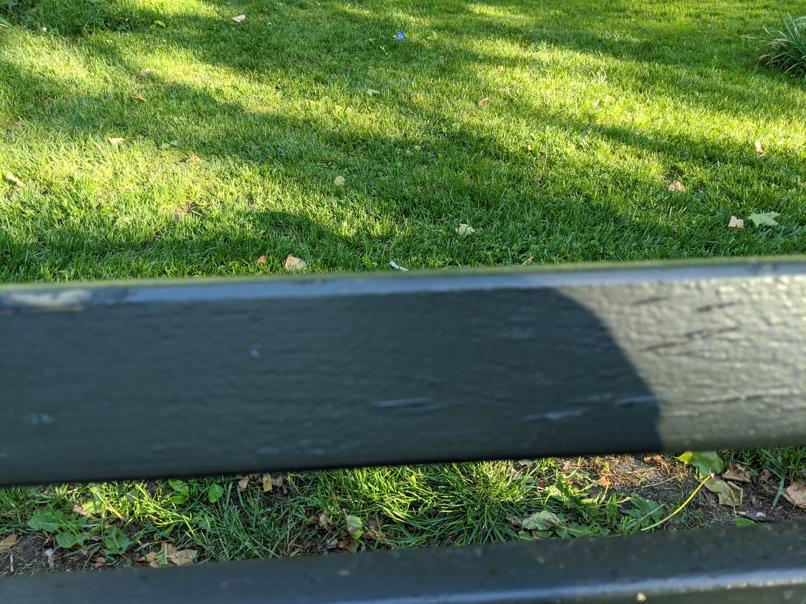 I saw this bench in Central Park