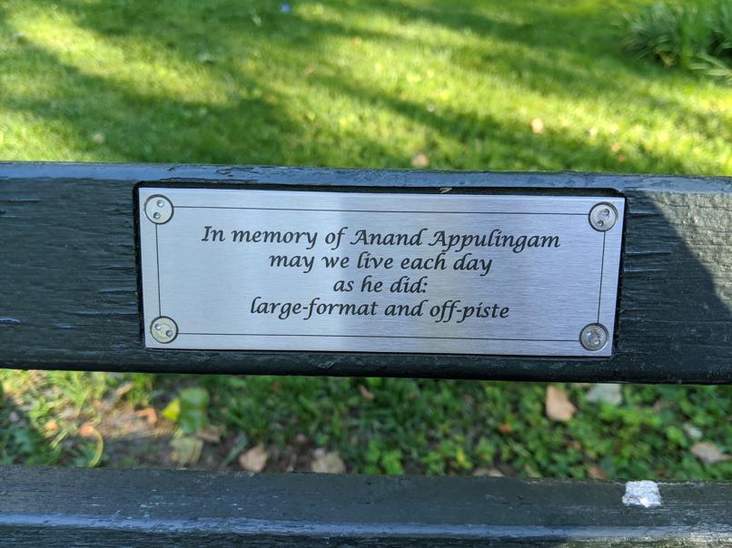 I saw this bench in Central Park