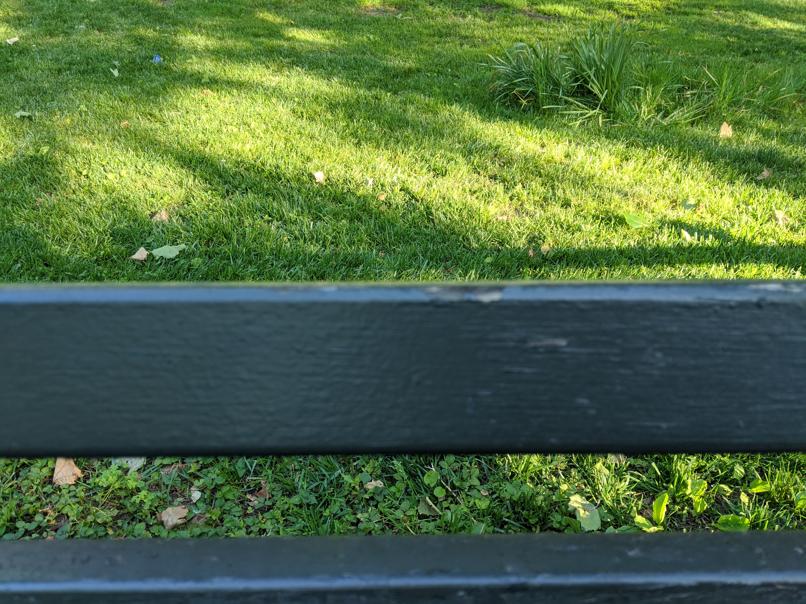 I saw this bench in Central Park