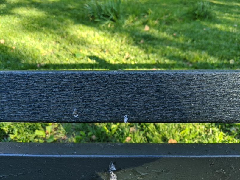 I saw this bench in Central Park