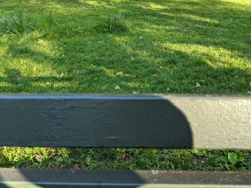 I saw this bench in Central Park