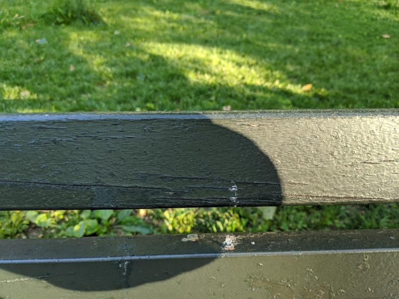 I saw this bench in Central Park