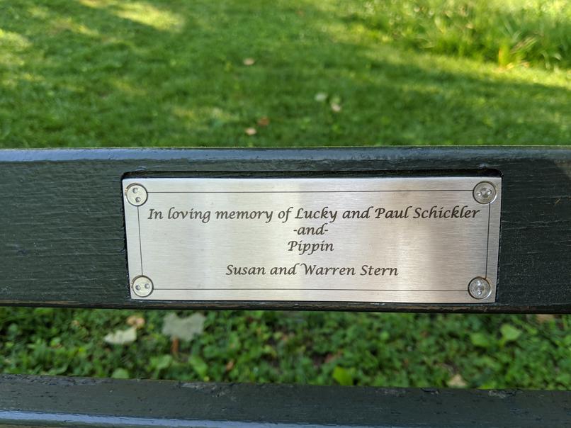 I saw this bench in Central Park