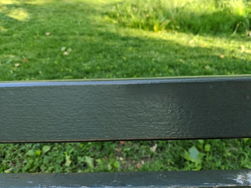 I saw this bench in Central Park