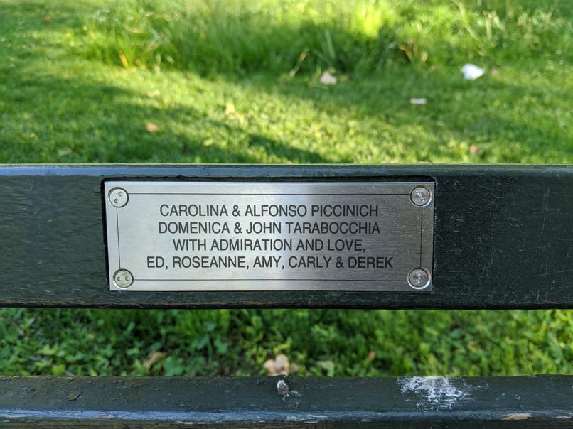 I saw this bench in Central Park