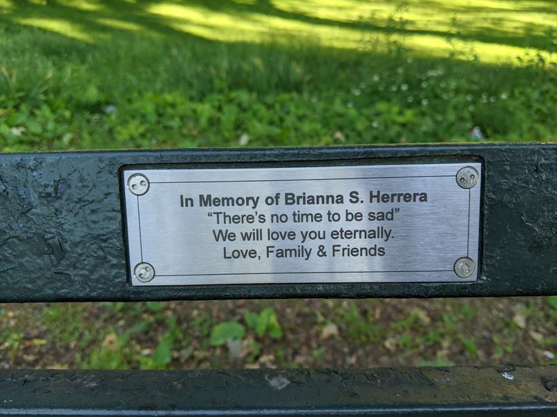 I saw this bench in Central Park