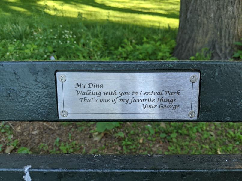 I saw this bench in Central Park