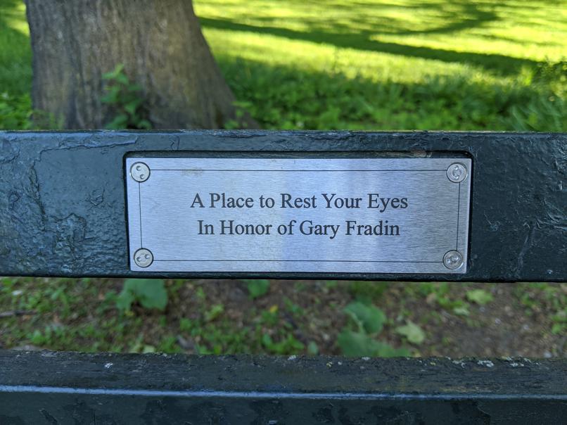 I saw this bench in Central Park