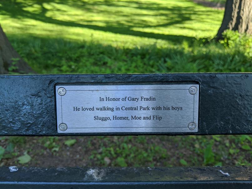 I saw this bench in Central Park