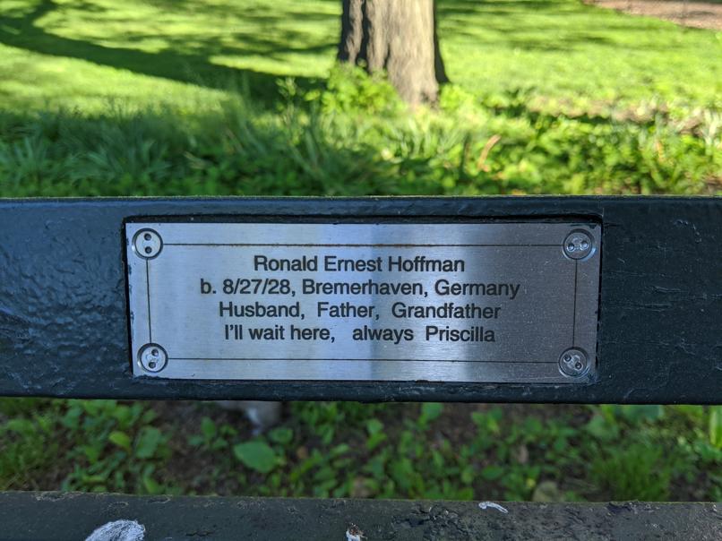 I saw this bench in Central Park