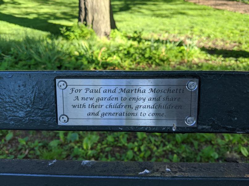 I saw this bench in Central Park