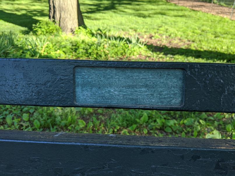 I saw this bench in Central Park