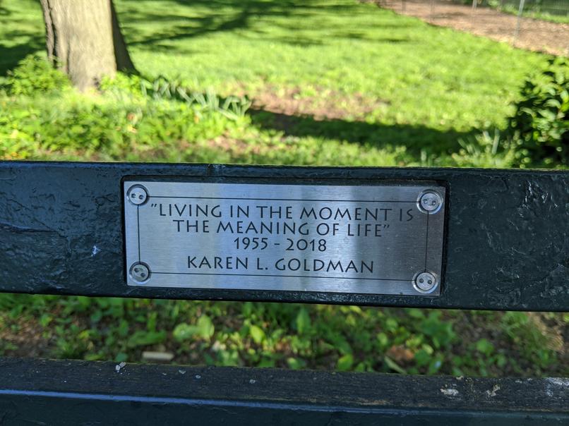 I saw this bench in Central Park