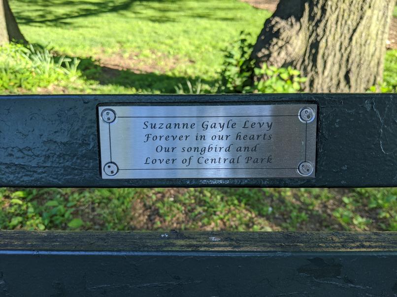 I saw this bench in Central Park