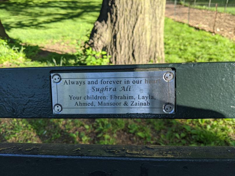 I saw this bench in Central Park