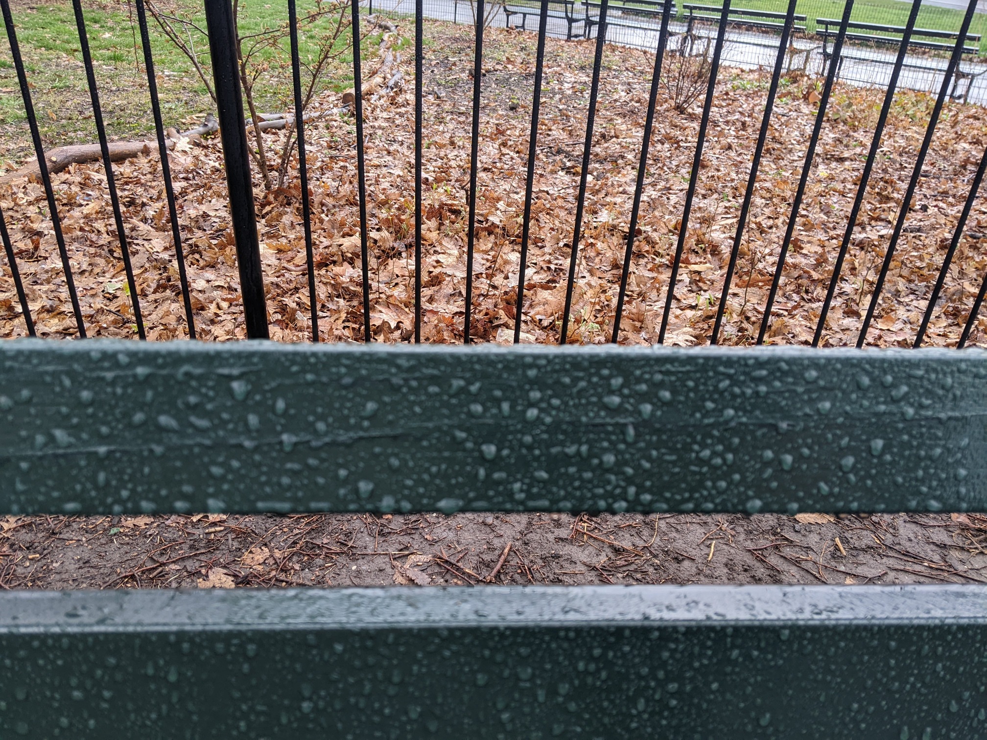 I saw this bench in Central Park