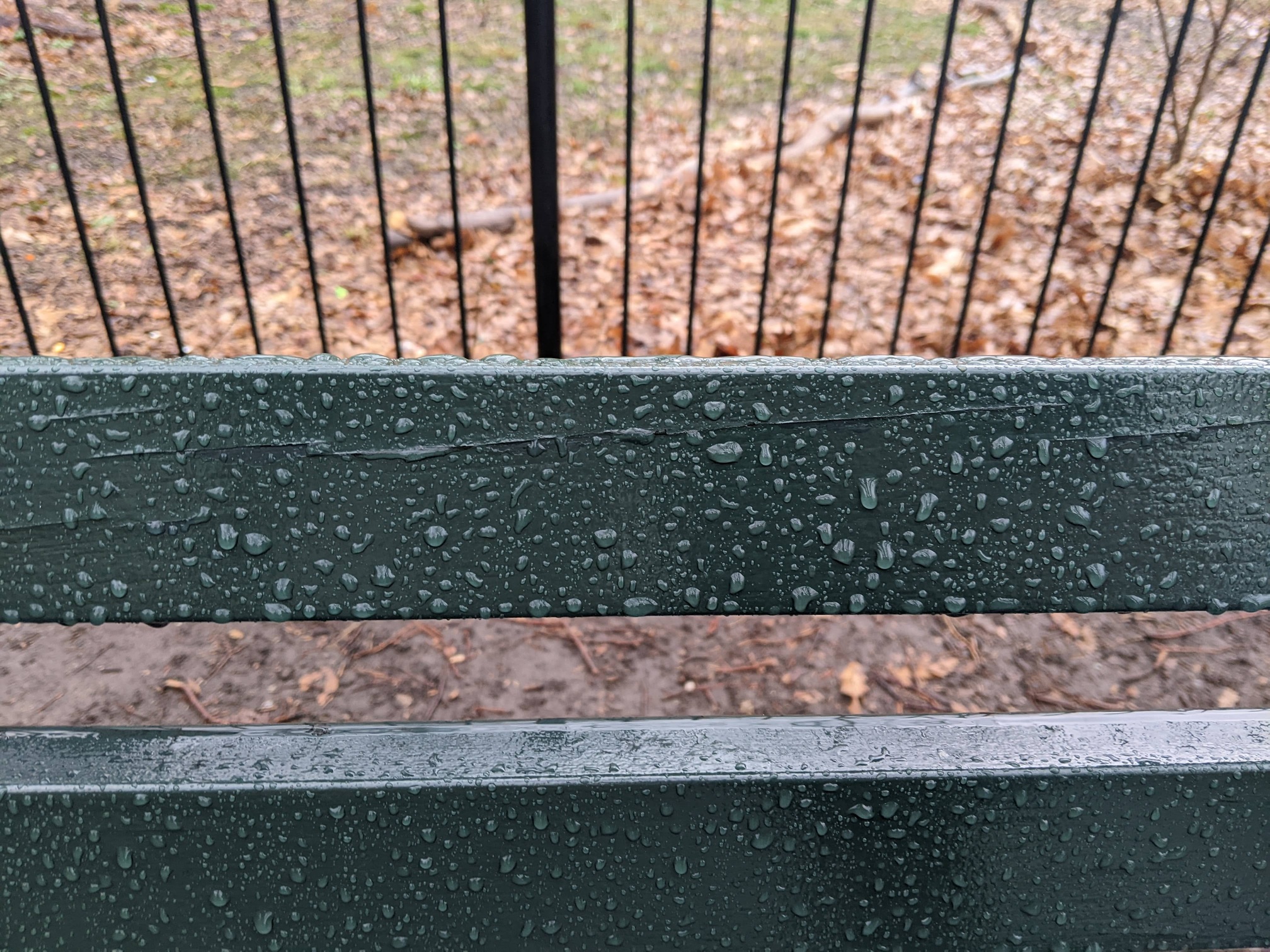 I saw this bench in Central Park