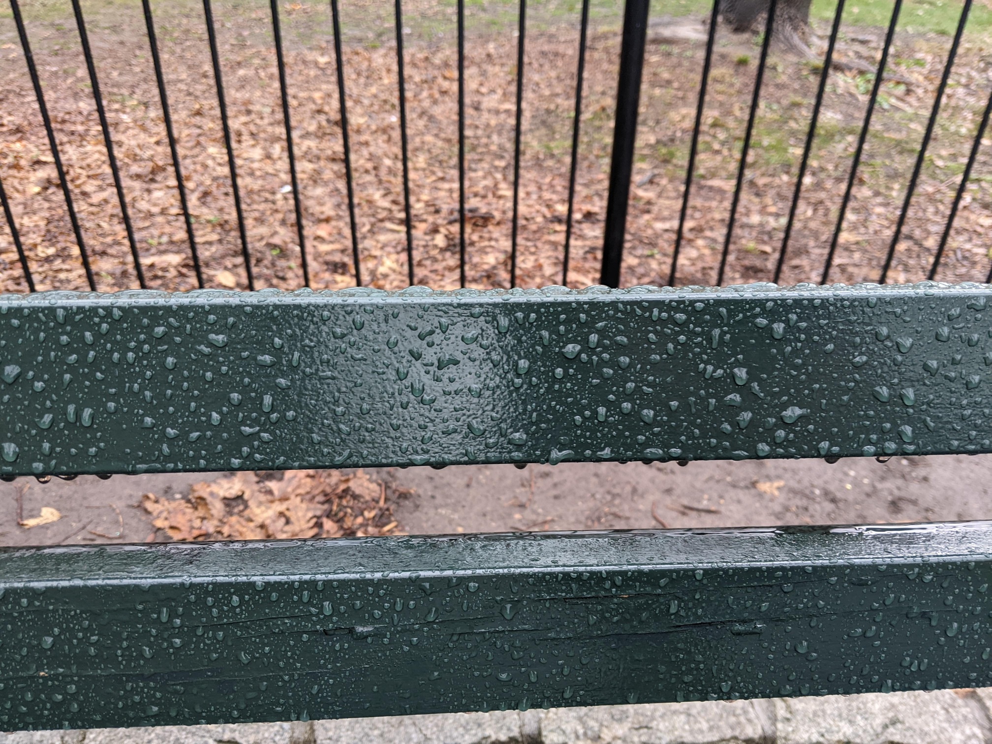 I saw this bench in Central Park