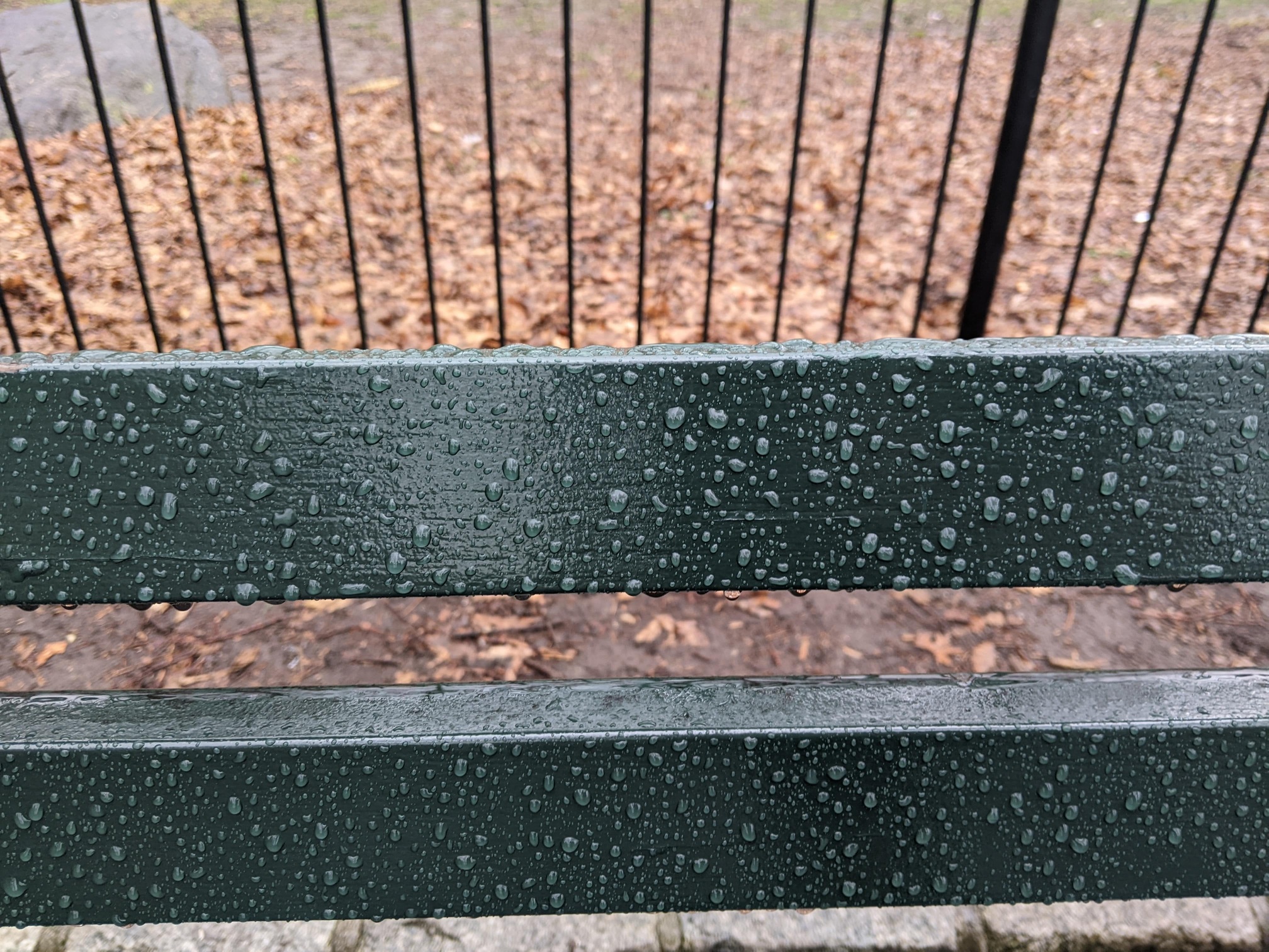 I saw this bench in Central Park