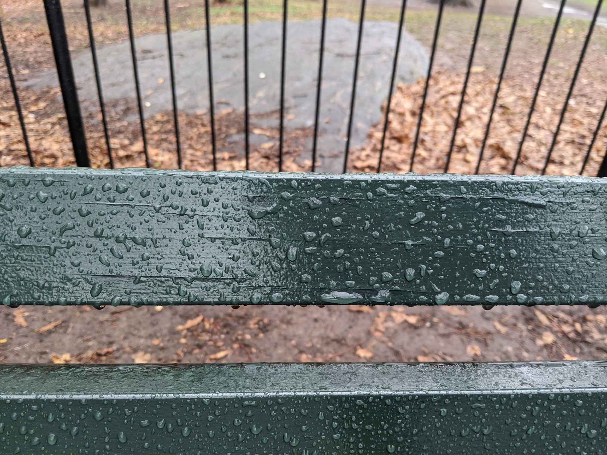 I saw this bench in Central Park