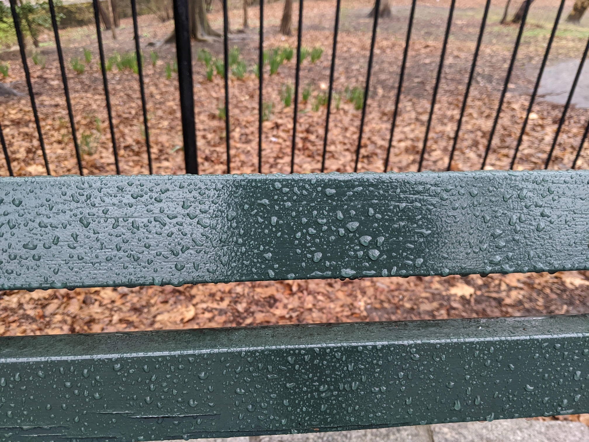 I saw this bench in Central Park