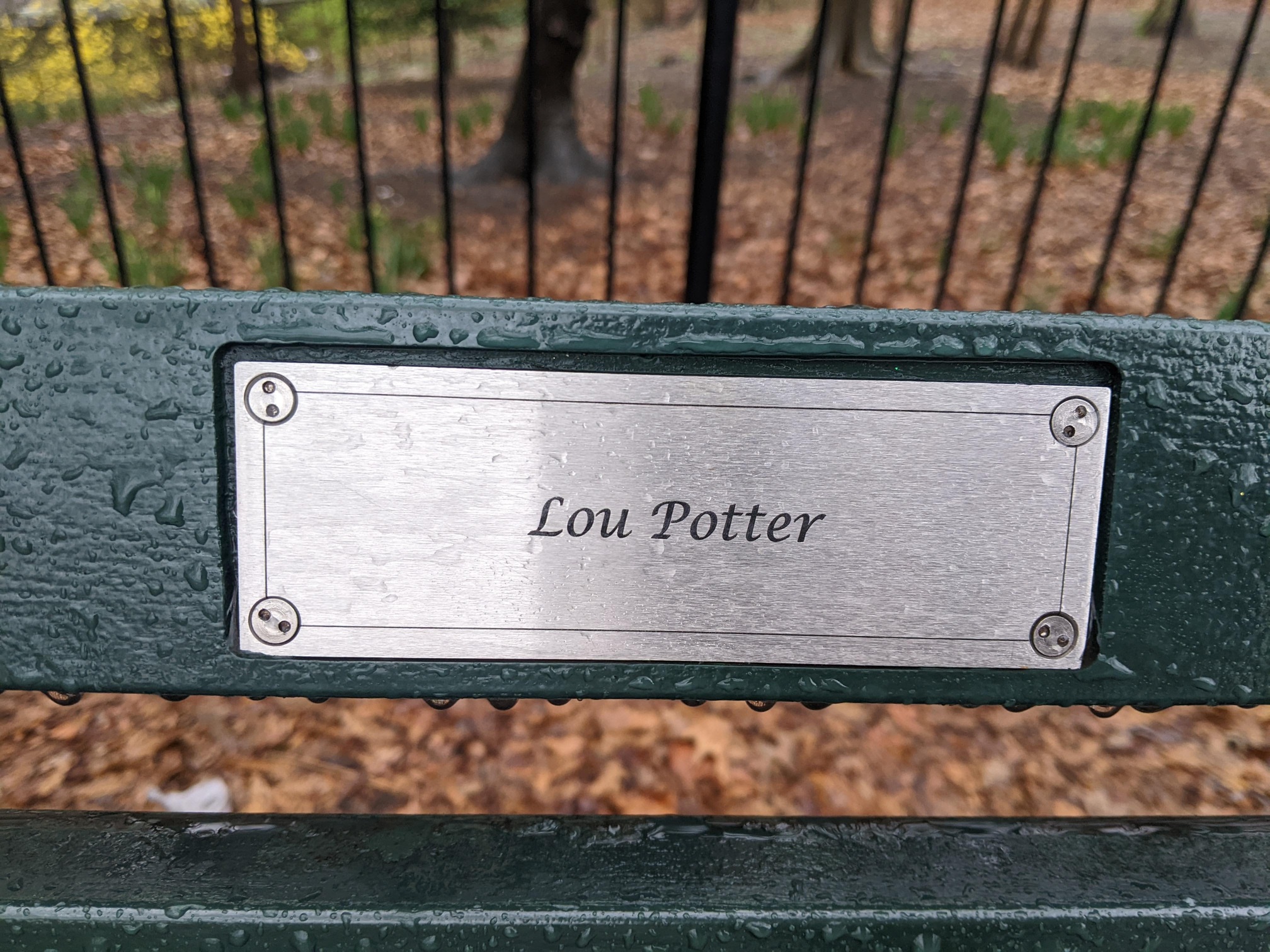 I saw this bench in Central Park