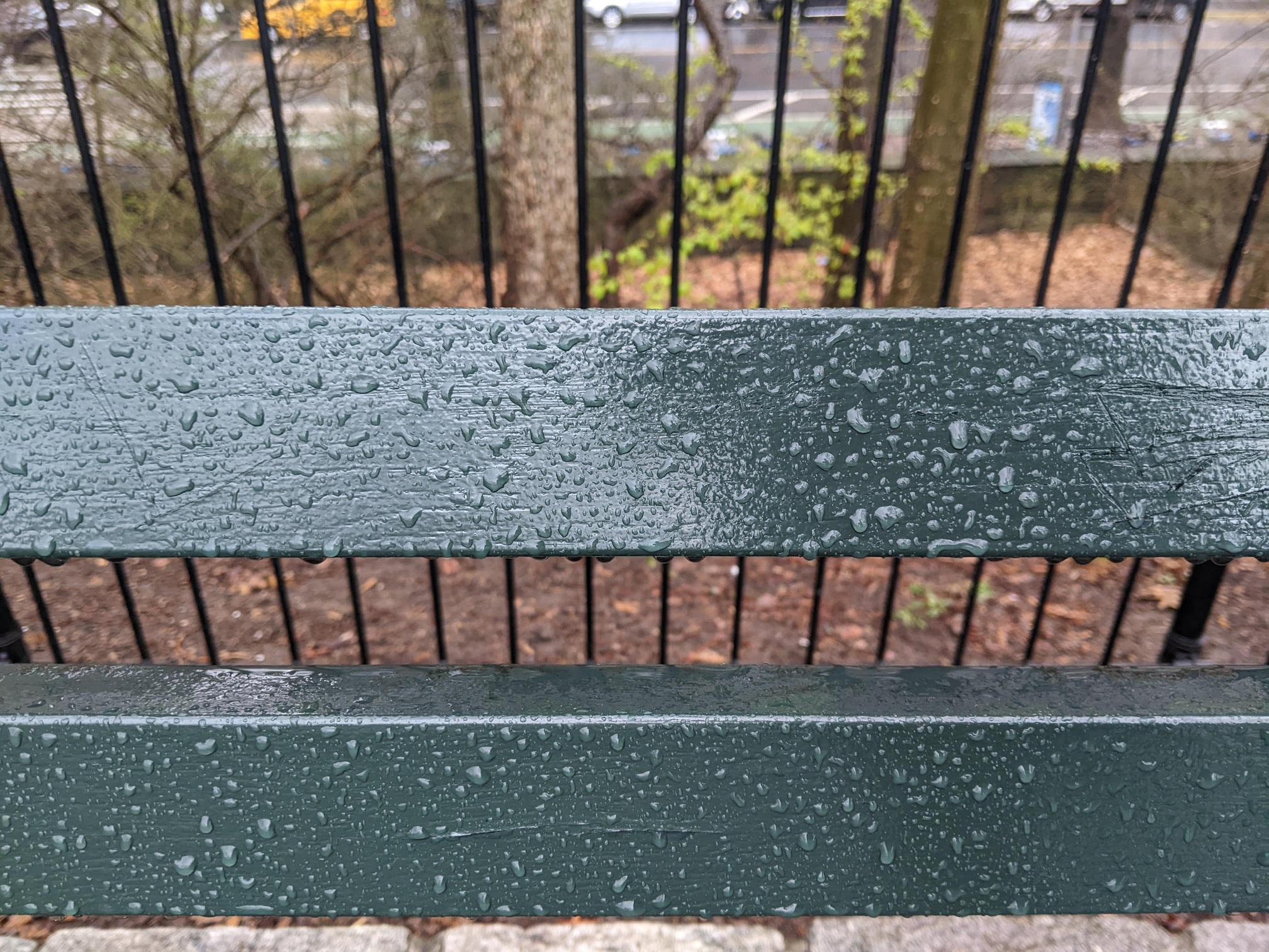 I saw this bench in Central Park