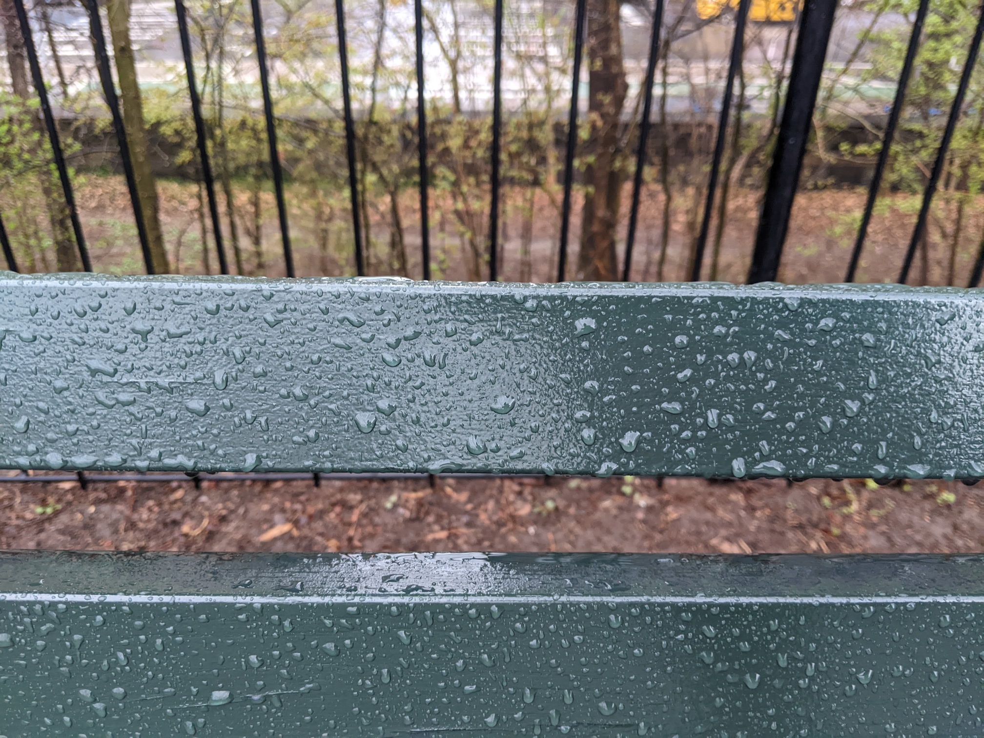 I saw this bench in Central Park