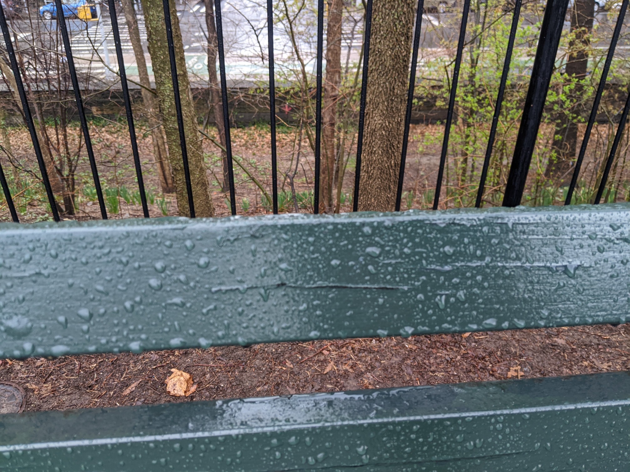 I saw this bench in Central Park