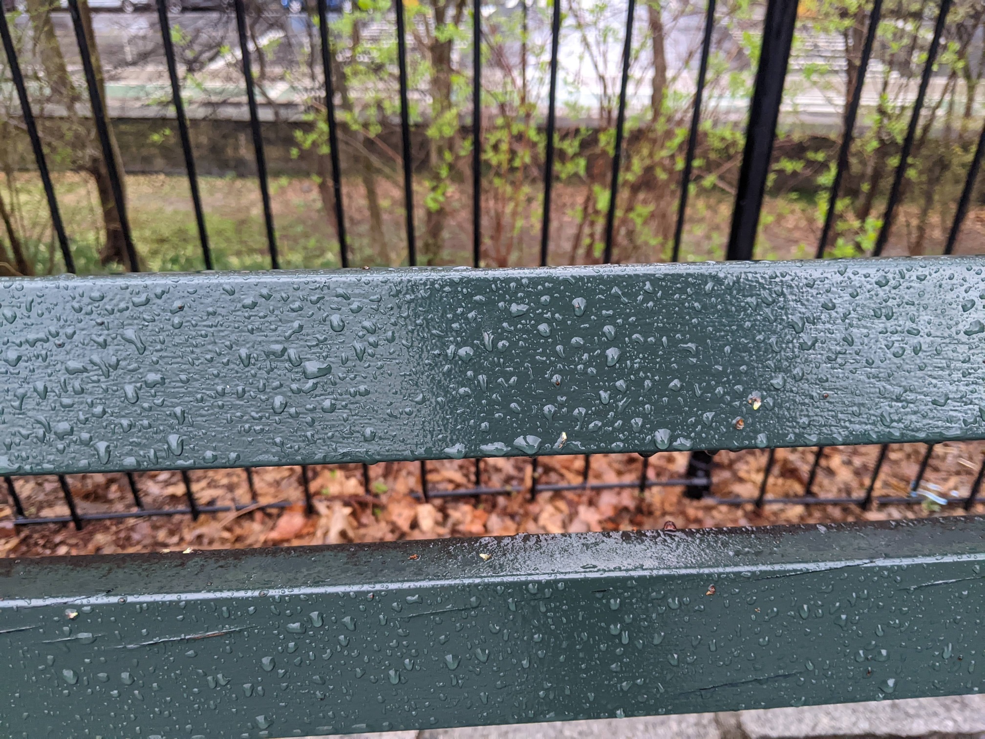 I saw this bench in Central Park