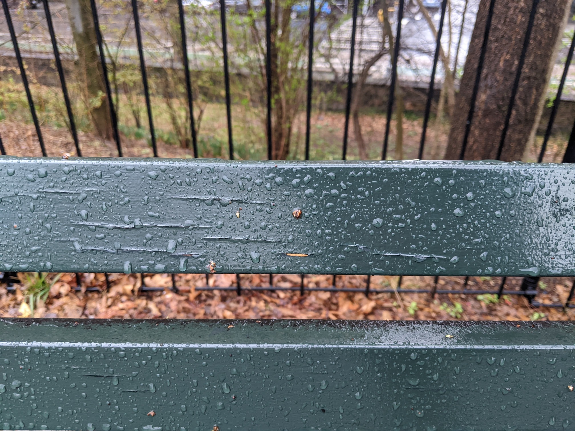 I saw this bench in Central Park