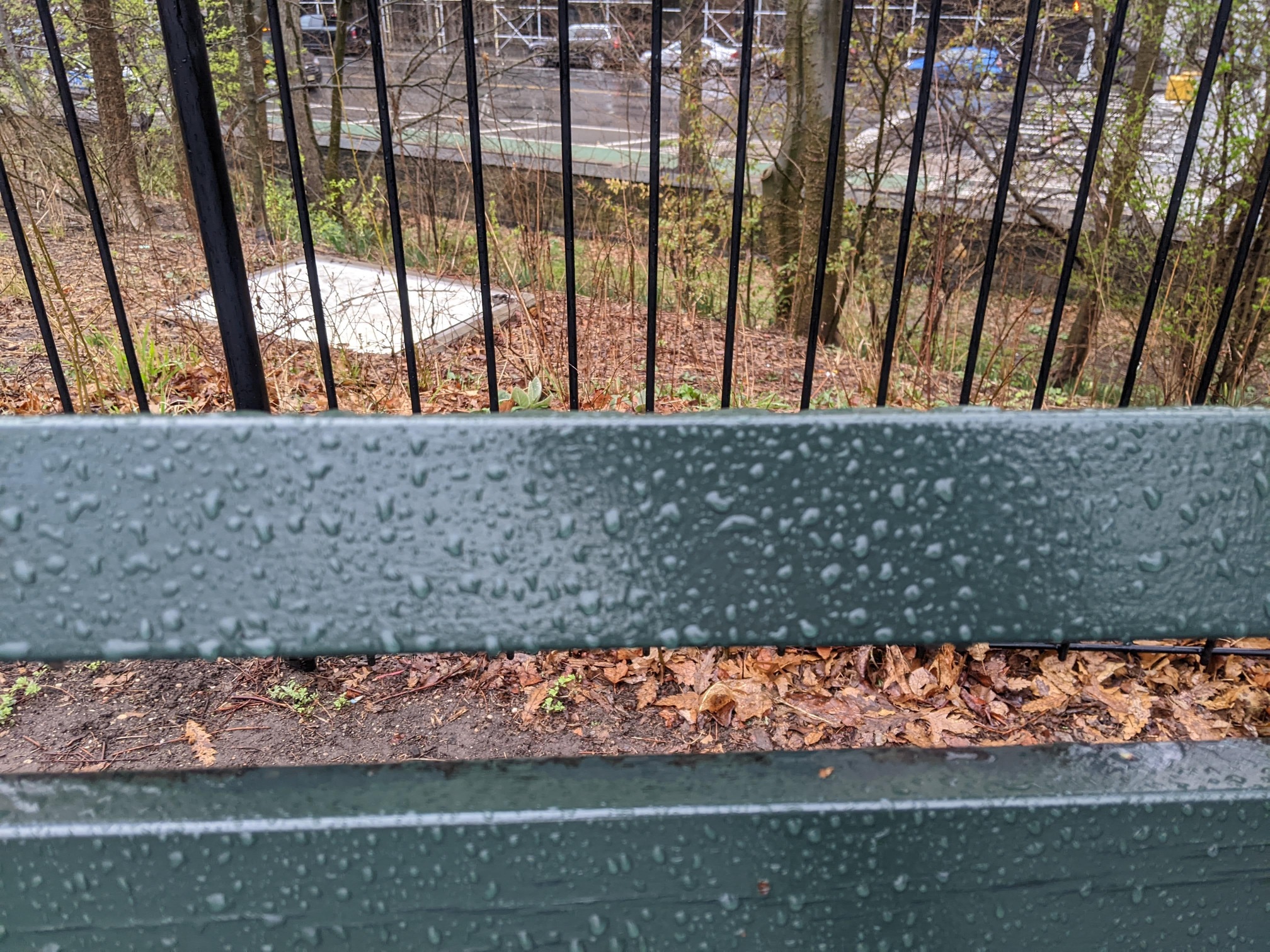 I saw this bench in Central Park